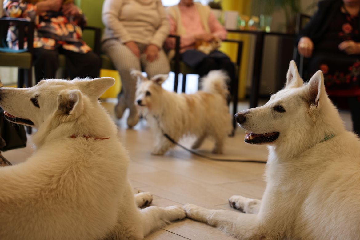 ASB Leipzig_tiergestütztze Therapie mit Hunden.JPG