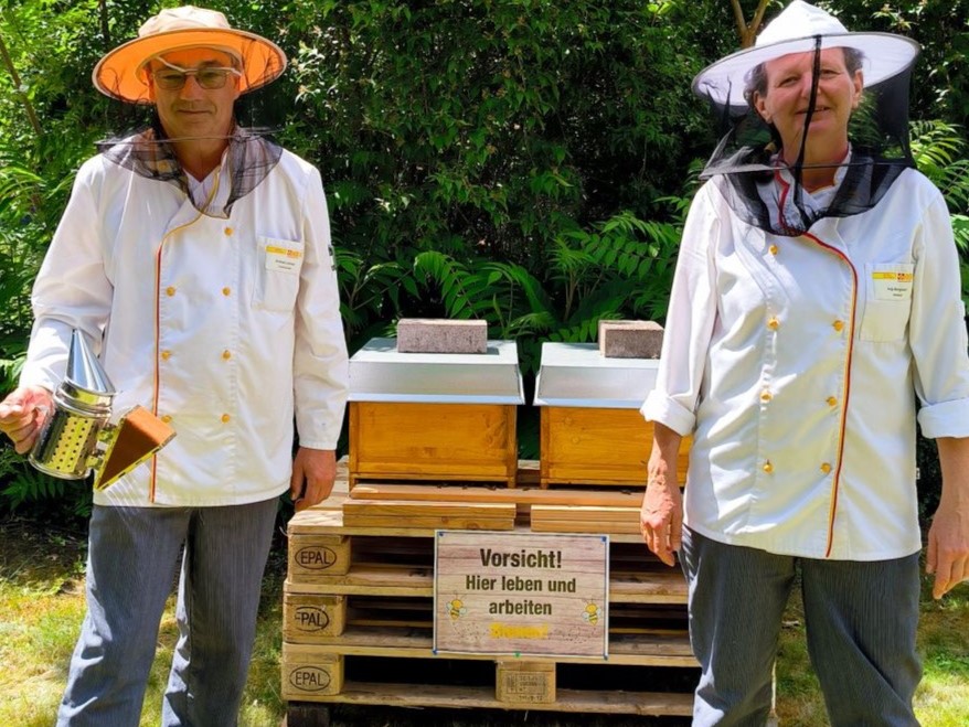 Bienen im HAS.jpg