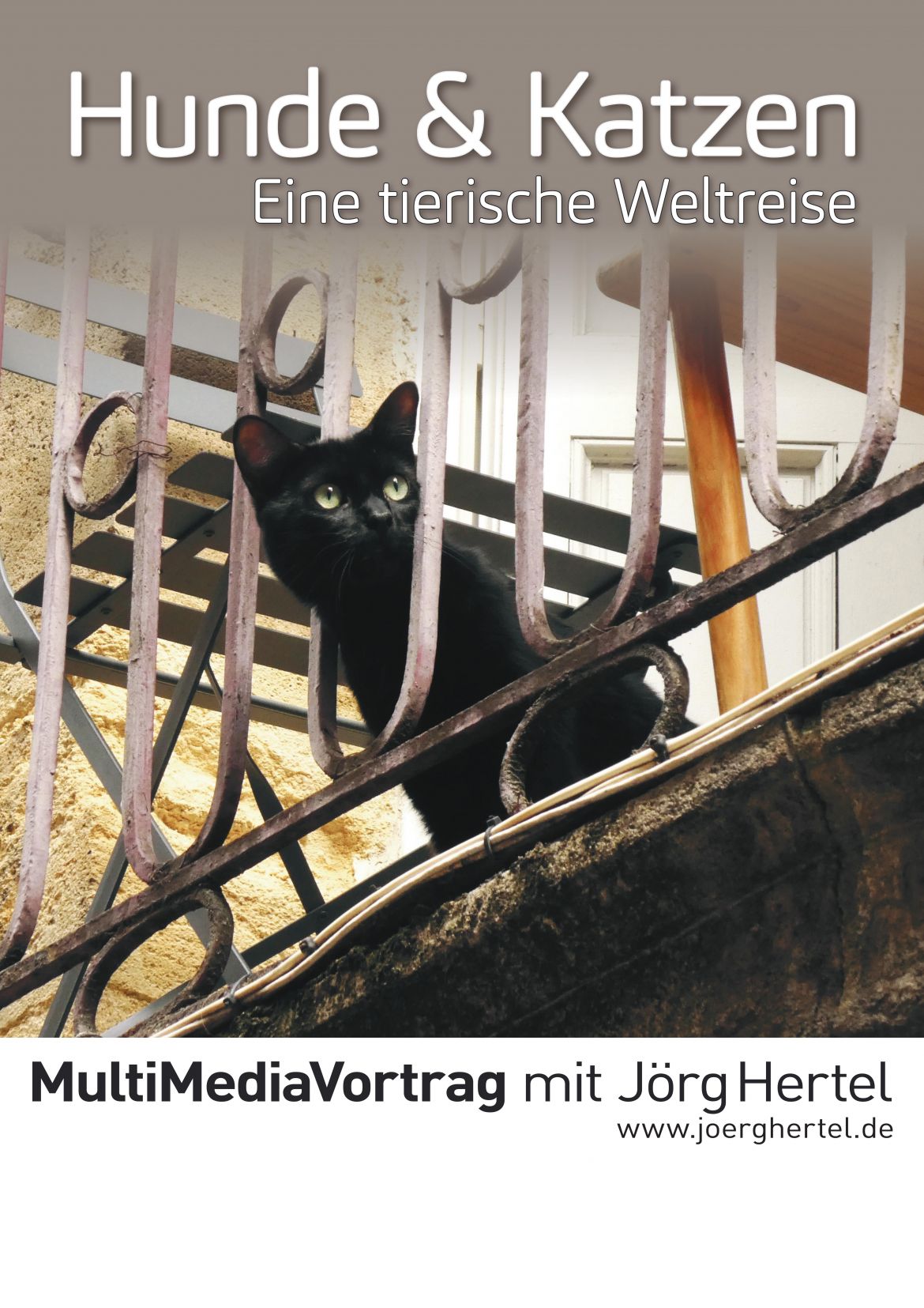 Foto_Welt-Hunde + Katzen Hertel.jpg
